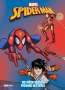 Steve Foxe: Spider-Man: Die mächtigsten Freunde der Welt, Buch