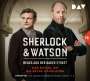 Viviane Koppelmann: Sherlock & Watson - Neues aus der Baker Street: Das Rätsel um die sechs Napoleons (Fall 16), 2 CDs