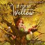 Sabine Bohlmann: Ein Mädchen namens Willow 5: Schattenzeit, 4 CDs