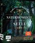 Texte: "Zaubernuss & Waldmagie", "Naturmomente für deine Seele", "Spiegel Bestseller-Autorin". Illustration: Waldszene., Buch