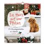 Ein Herz auf vier Pfoten. 24 Hundegeschichten im Advent. Pudel sitzt auf einem verschneiten Auto, umgeben von Geschenken., Buch