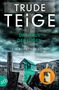 Der Text zeigt den Titel: "Trude Teige: Das Haus der Lügen. Ein Norwegen-Krimi." Im Hintergrund eine stürmische Landschaft., Buch