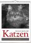 Vivendi Ars: Katzen - Literarisch durchs Jahr 2025, Kalender