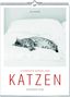 Vivendi Ars: Katzen - Literarisch durchs Jahr 2026, KAL