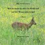 Hans- Josef Hungenberg: Wer ist denn da alles im Wald und auf der Wiese unterwegs?, Buch