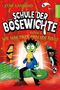 Ryan Hammond: Schule der Bösewichte 2. Lektion 2: Wie man einen Drachen klaut, Buch