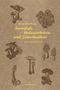 Benjamin Haag: Samtfuß, Holzstielchen und Zottelmähne, Buch