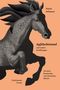 Pawel Salzman: Apfelschimmel, Buch, Buch
