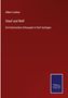 Albert Lindner: Stauf und Welf, Buch