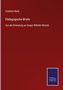 Friedrich Rieck: Pädagogische Briefe, Buch