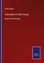 Albert Knapp: Lebensbild von Albert Knapp, Buch