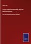 Adolf Held: Carey's Socialwissenschaft und das Merkantilsystem, Buch