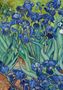 Eine Illustration mit leuchtend blauen Schwertlilien, umgeben von grünen Blättern und einen gelb-grünen Hintergrund., Buch
