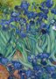 Illustration von blauen Irisblumen, dargestellt in kräftigen Farben mit grünen Blättern und einem hellen Hintergrund., Buch