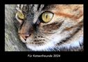 Tobias Becker: Für Katzenfreunde 2024 Fotokalender DIN A3, Kalender