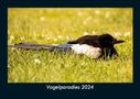 Tobias Becker: Vogelparadies 2024 Fotokalender DIN A5, Kalender