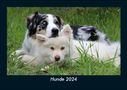 Tobias Becker: Hunde 2024 Fotokalender DIN A5, Kalender