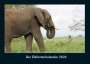 Tobias Becker: Der Elefantenkalender 2024 Fotokalender DIN A4, Kalender