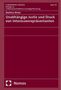 Matthieu Binder: Unabhängige Justiz und Druck von Interessenrepräsentanten, Buch