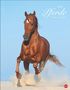 Pferde Classics Posterkalender 2025, Kalender