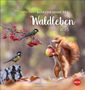 Vadim Trunov: Märchenhaftes Waldleben Postkartenkalender 2025, Kalender