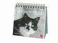 Monika Wegler: Katzen Weisheiten Premium-Postkartenkalender 2025, Kalender