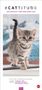 : Whiskas Familienplaner 2026, KAL