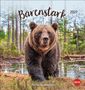 "Bärenstark 2027" und "Postkartenkalender" in einer Waldszene mit einem nahen Bären. Ein rotes HEYE-Logo unten rechts., Kalender