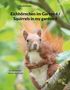 Mario Porten: Eichhörnchen im Garten 4 / Squirrels in my garden 4, Buch