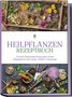 Marion Gesicki: Heilpflanzen Rezeptbuch: Die besten Phytotherapie Rezepte gegen vielerlei Alltagsleiden für mehr Energie, Vitalität & Lebensfreude - inkl. Salben, Cremes, Tinkturen & Mundspülungen, Buch