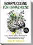 "Gehirnjogging für Erwachsene" von Robert Mölder, zeigt ein Gehirn mit Blättern und fliegenden Vögeln., Buch