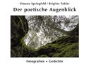 Simone Springfeld: Der poetische Augenblick, Buch