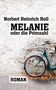 Norbert Heinrich Holl: Melanie oder die Primzahl, Buch