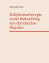 Veronika Thiel: Kaltplasmatherapie in der Behandlung von chronischen Wunden, Buch