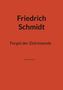 Friedrich Schmidt: Forget der Zeitreisende, Buch, Buch