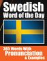 Auke de Haan: Swedish Words of the Day | Swedish Made Vocabulary Simple, Buch