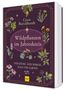 Buchtitel: "Wildpflanzen im Jahreskreis". Autor: Coco Burckhardt. Illustrationen von Pflanzen auf dunklem Hintergrund., Buch