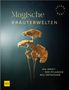 Magische Kräuterwelten. Die Kraft der Pflanzen neu entdecken. Goldene Blüten vor dunklem Hintergrund. GU Logo unten links., Buch