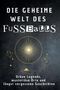 Elias Günther: Die geheime Welt des Fußballs, Buch