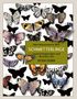 Peter Dorn: Schmetterlinge, Buch