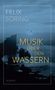 Felix Söring: Musik über den Wassern, Buch