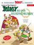 René Goscinny: Asterix Mundart Oberfränkisch III, Buch