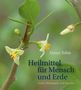"Almut Tobis Heilmittel für Mensch und Erde. Gold, Weihrauch und Myrrhe." Nahaufnahme einer Pflanze mit kleinen Blüten., Buch