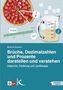 Berthold Eckstein: Brüche, Dezimalzahlen und Prozente darstellen und verstehen, Buch