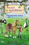 Pippa Young: Ponyhof Apfelblüte - Ladys glanzvoller Auftritt, Buch