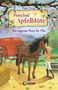 Pippa Young: Ponyhof Apfelblüte 13 - Ein eigenes Pony für Mia, Buch, Buch
