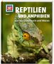 Alexandra Rigos: Reptilien und Amphibien. Gecko, Grasfrosch und Waran, Buch