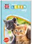 "Was ist was", "Erstes Lesen easy", "Katzen – meine Lieblingstiere". Zwei Kätzchen vor grünem Hintergrund., Buch