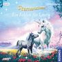 Linda Chapman: Sternenschweif 40: Ein Fohlen für Laura (Audio-CD), CD