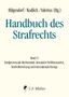 Handbuch des Strafrechts Band 09, Buch
